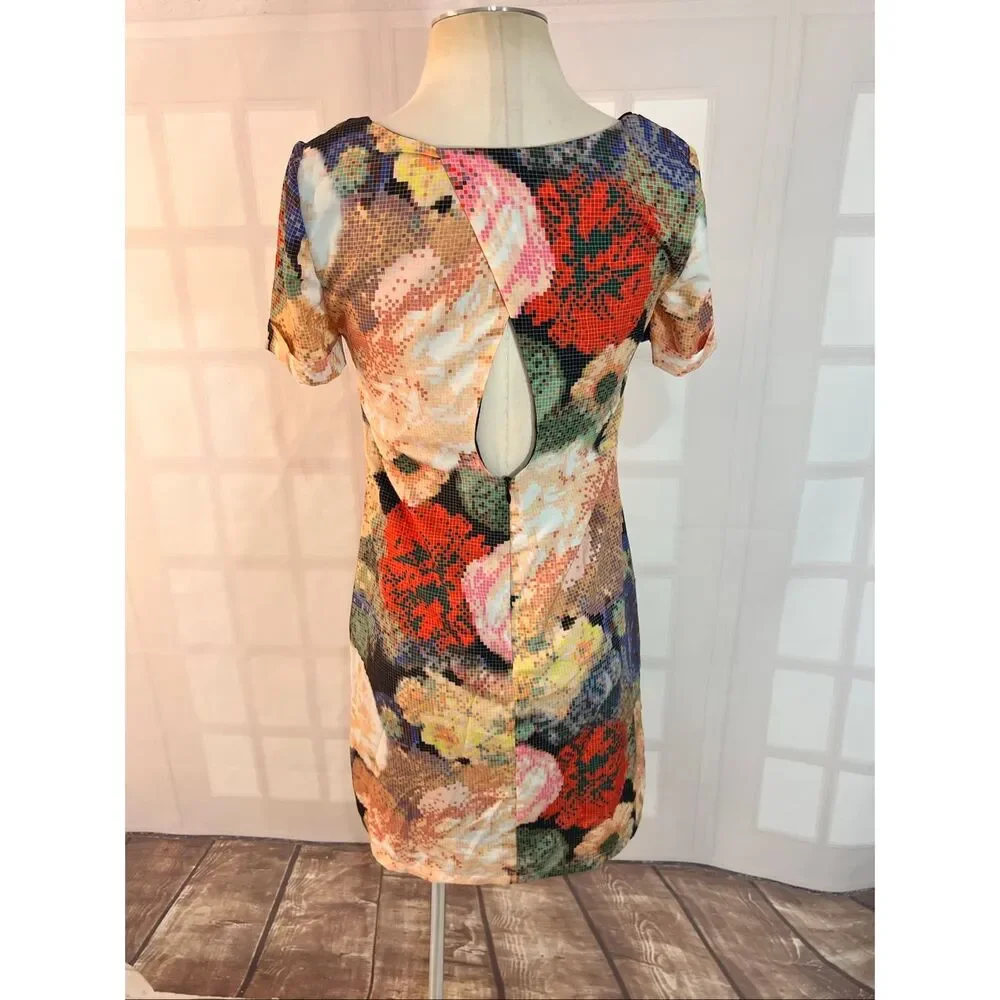 Ranna Gill Anthropologie Fanned Vignette Shift dress size 4